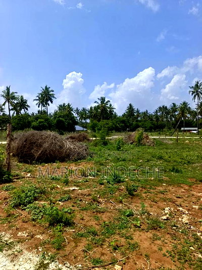 1/8th Acre Affordable Beach Plots for Sale in Kilifi - Image 4
