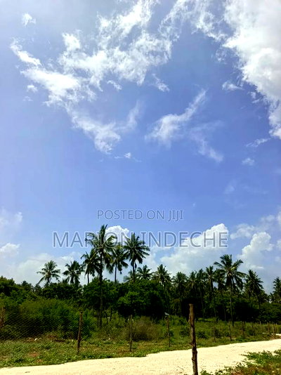 1/8th Acre Affordable Beach Plots for Sale in Kilifi - Image 3