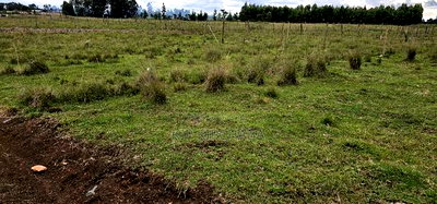 Prime Plots For Sale In Marura Kimumu Eldoret - Image 6