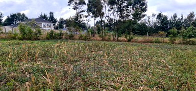Several Gated Community Plots for Sale in Royalton Eldoret - Image 4