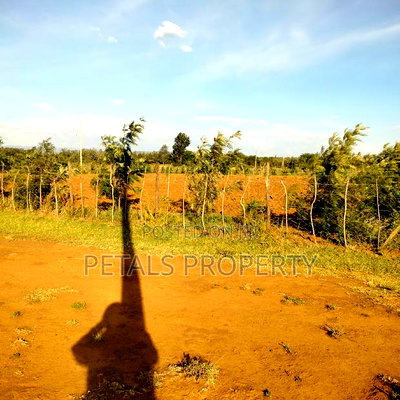 Prime 1 Acre for Sale Kabarak Gichuru Farm - Image 2