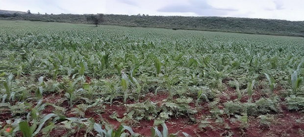 9acres for Sale in Nakuru, Subukia Mumoi Area at Per Acre