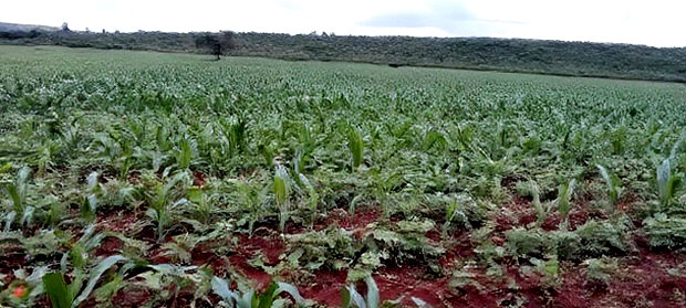 9acres for Sale in Nakuru, Subukia Mumoi Area at Per Acre