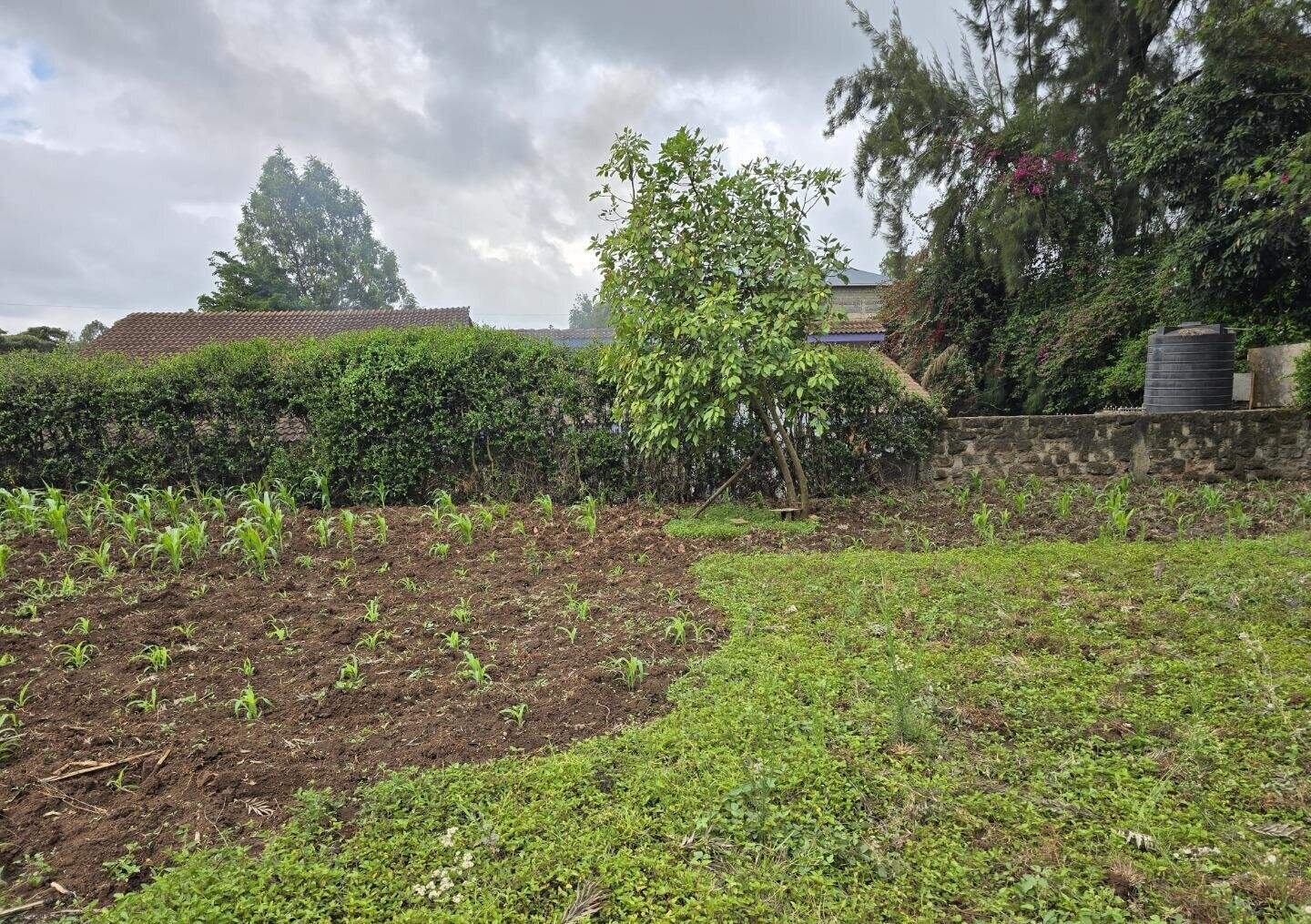 Half Acre Garden Plot with Parking - Ngong