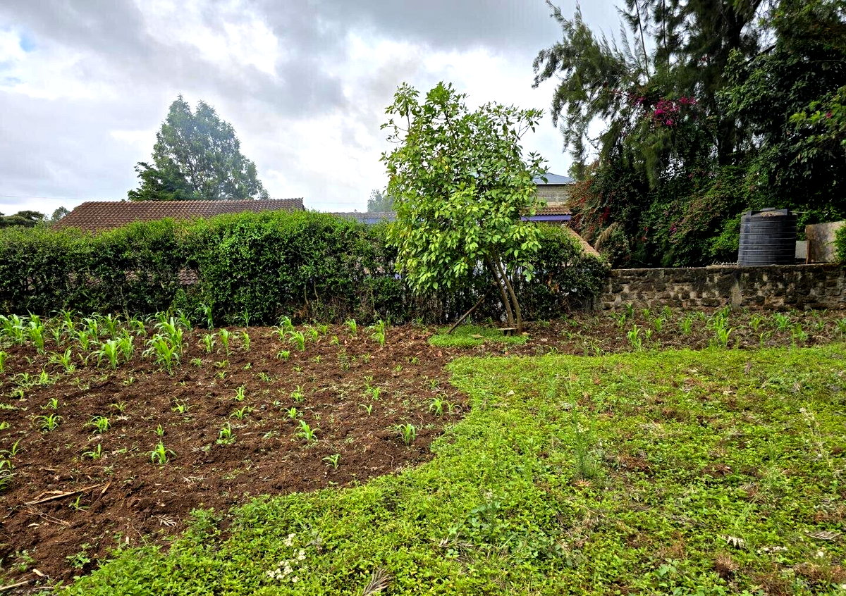 Half Acre Garden Plot with Parking - Ngong