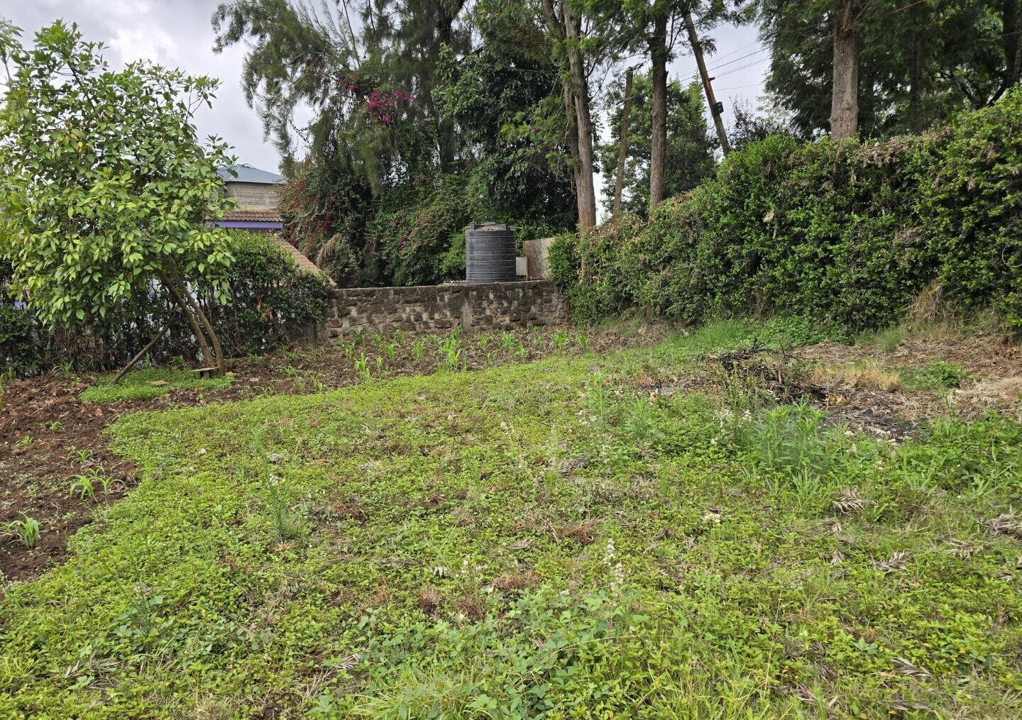 Half Acre Garden Plot with Parking - Ngong