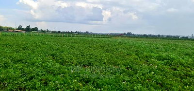 Prime 1 Acre Land for Sale in Kimumu Marura in Eldoret - Image 8