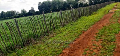 Prime 1 Acre Land for Sale in Kimumu Marura in Eldoret - Image 6