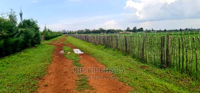 Prime 1 Acre Land for Sale in Kimumu Marura in Eldoret - Image 3