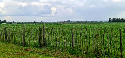 Prime 1 Acre Land for Sale in Kimumu Marura in Eldoret - Image 5