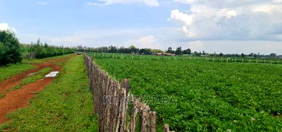 Prime 1 Acre Land for Sale in Kimumu Marura in Eldoret - Image 1