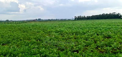 Prime 1 Acre Land for Sale in Kimumu Marura in Eldoret - Image 2