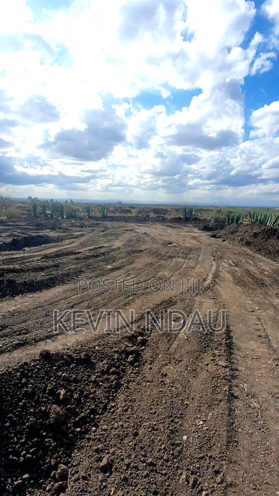 Land for Sale - Image 1
