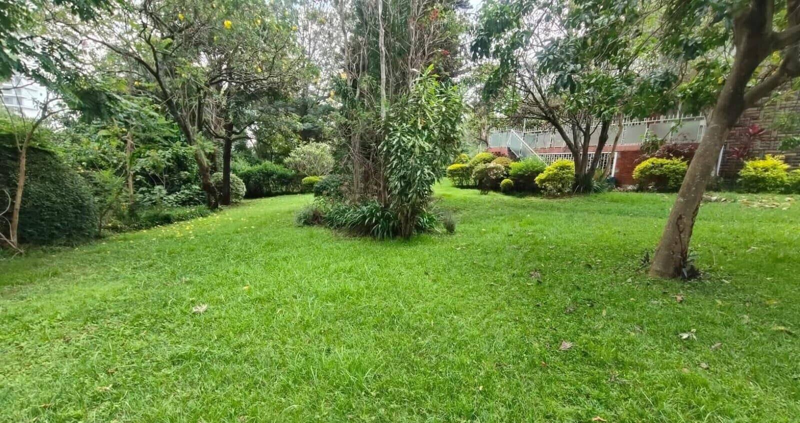 0.8 Acre Riverside Gem for KSh 380M