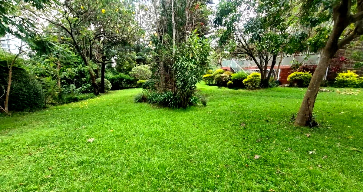 0.8 Acre Riverside Gem for KSh 380M