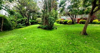 0.8 Acre Riverside Gem for KSh 380M