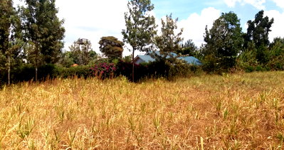 Quarter Acre Plot in Wangige