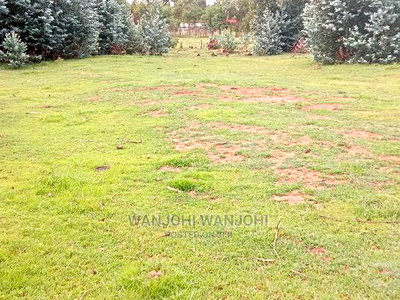 A Breath of Fresh Air in Nyandarua - Image 2