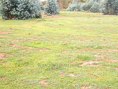 A Breath of Fresh Air in Nyandarua - Image 3