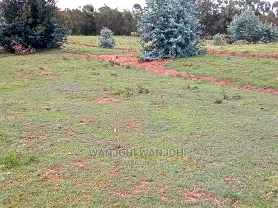 A Breath of Fresh Air in Nyandarua - Image 4