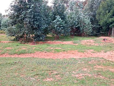 A Breath of Fresh Air in Nyandarua - Image 1