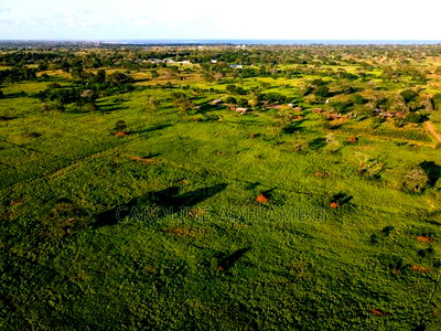 Gogoni Plots - Image 2