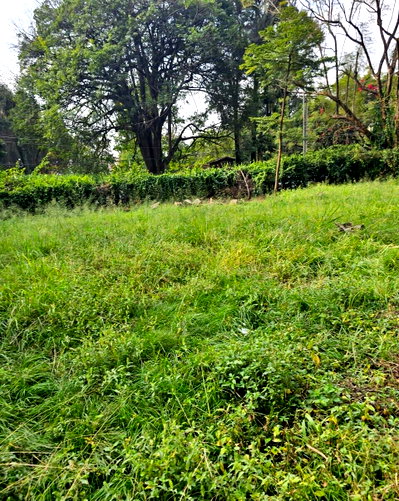 KSh 270M Kilimani Plot with Garden