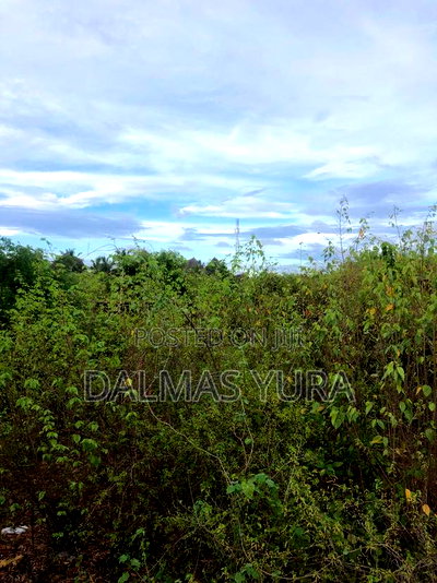 3 Acres of Land in Malindi - Image 4