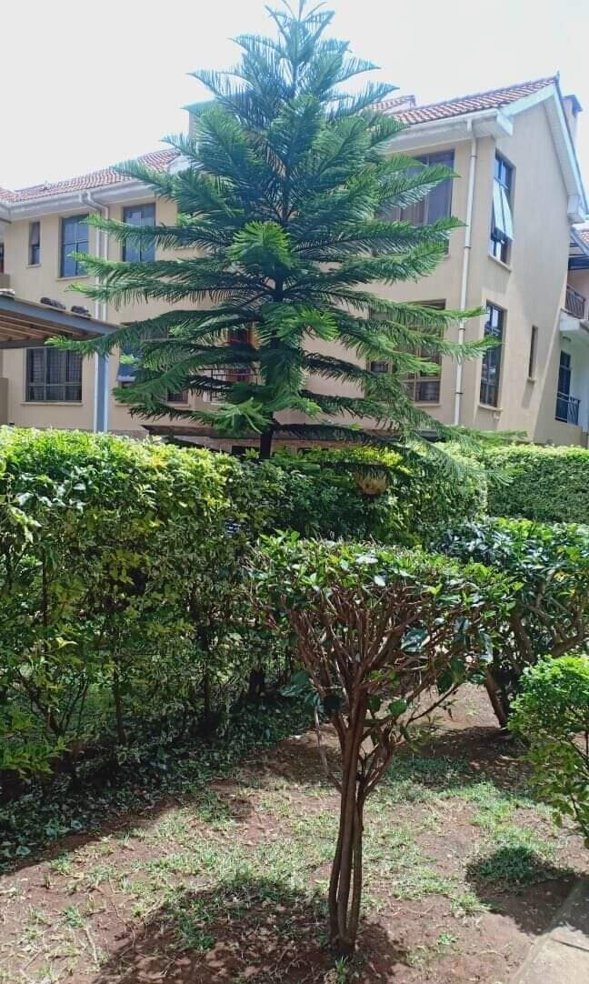 5-Ensuite Villa with Jacuzzi & Private Garden - Lavington