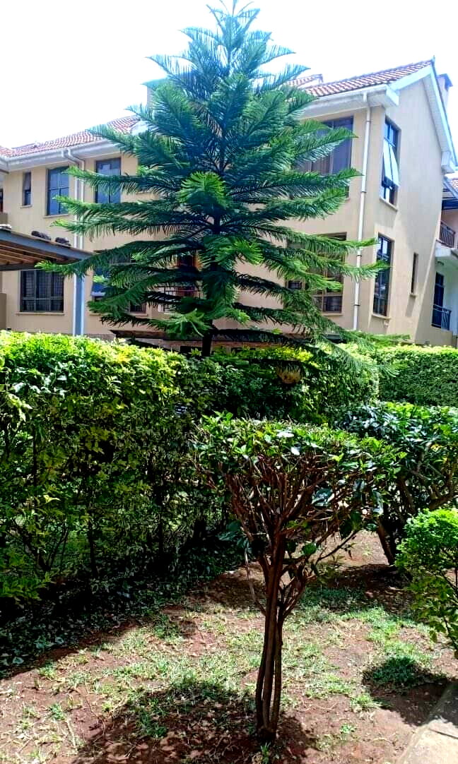 5-Ensuite Villa with Jacuzzi & Private Garden - Lavington