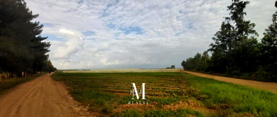 60-Acre Land at KSh 3M per Acre