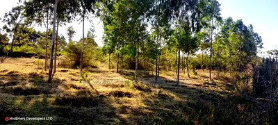 3 Bedrooms Built on 2 Acres in Lower - Image 2