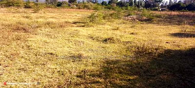 3 Bedrooms Built on 2 Acres in Lower - Image 10