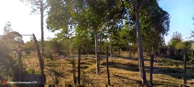 3 Bedrooms Built on 2 Acres in Lower - Image 4