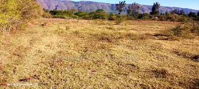 3 Bedrooms Built on 2 Acres in Lower - Image 12