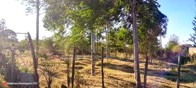 3 Bedrooms Built on 2 Acres in Lower - Image 5