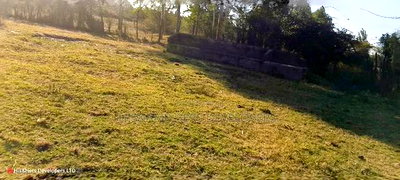 3 Bedrooms Built on 2 Acres in Lower - Image 9