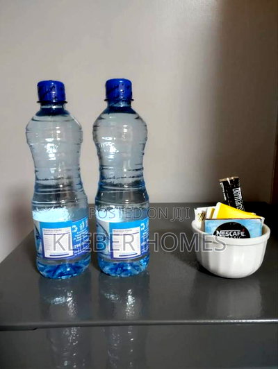 Furnished Studio Apartment in Nairobi West for rent - Image 7