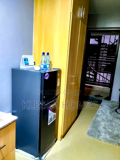 Furnished Studio Apartment in Nairobi West for rent - Image 2