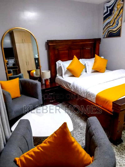 Furnished Studio Apartment in Nairobi West for rent - Image 6