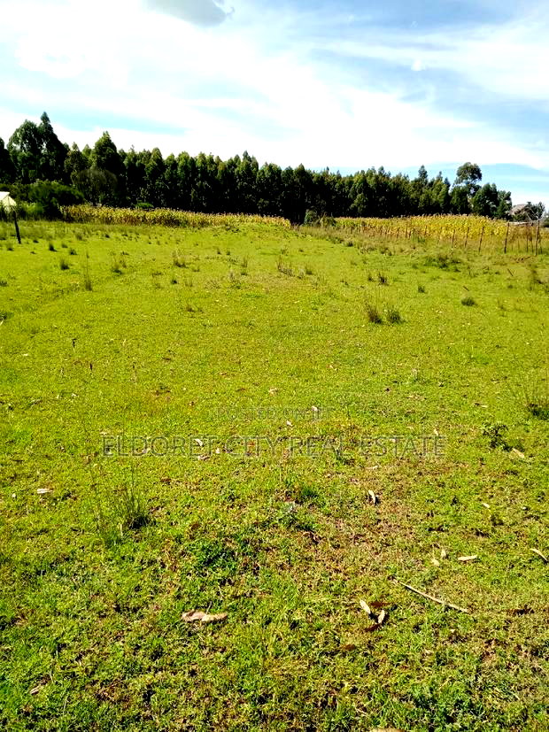 1/2 Acre Rolyton Near Madonna With Title