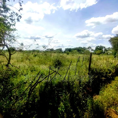 6 Acres for Sale in Kipsyenan(Mauante) Kampi Ya Moto - Image 2
