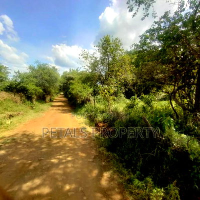 6 Acres for Sale in Kipsyenan(Mauante) Kampi Ya Moto - Image 4