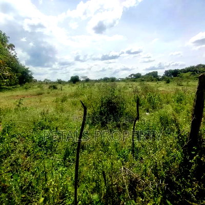 6 Acres for Sale in Kipsyenan(Mauante) Kampi Ya Moto - Image 5