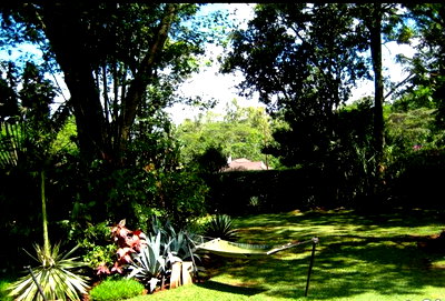 4.5-Acre Karen Plot with Garden