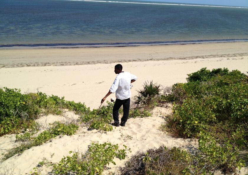 10-Acre Beachfront Land in Malindi
