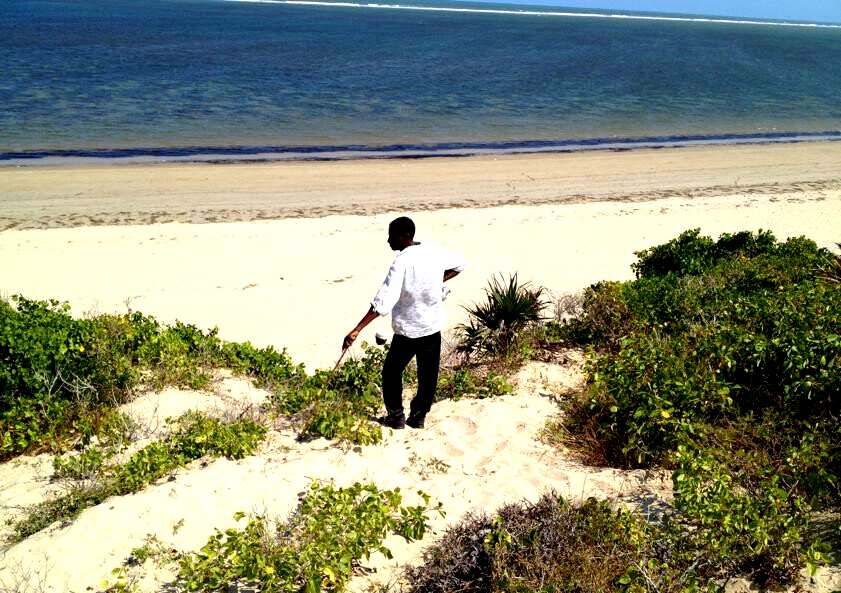 10-Acre Beachfront Land in Malindi
