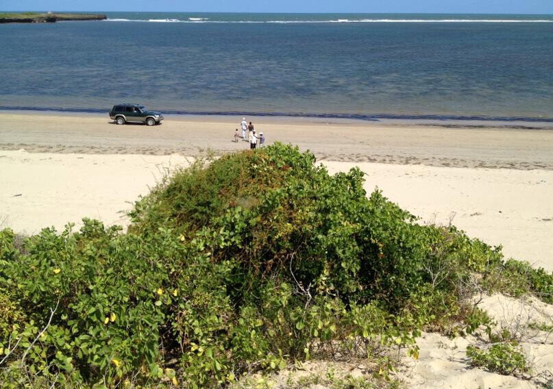 10-Acre Beachfront Land in Malindi