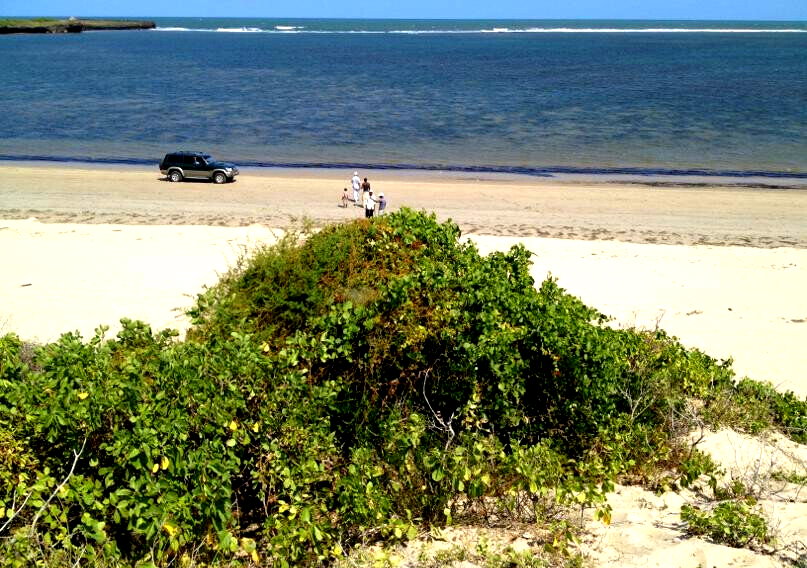 10-Acre Beachfront Land in Malindi