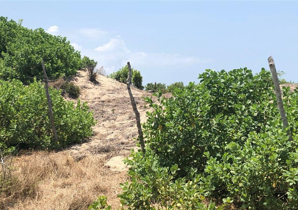 10-Acre Beachfront Land in Malindi